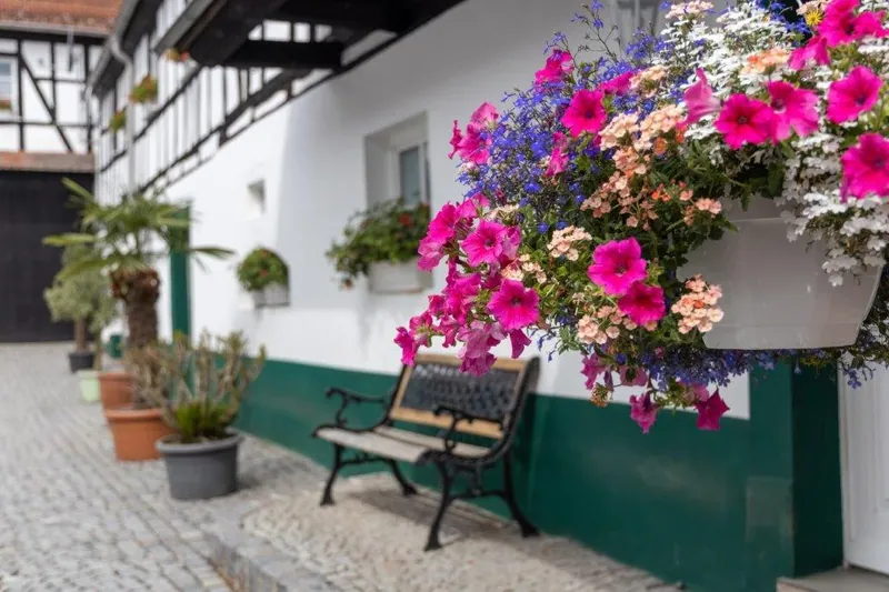 Blumen und Bank vor dem Fachwerkhaus
