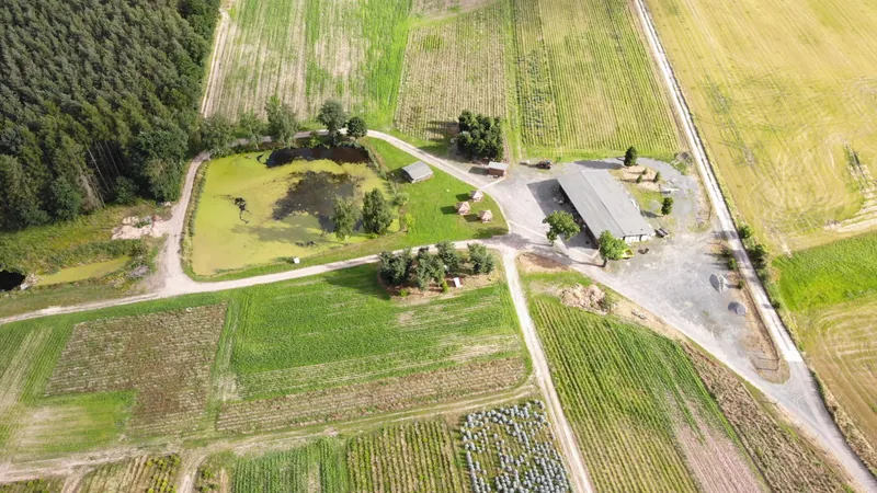 Luftbild von Hof und Plantage in Wittchenstein